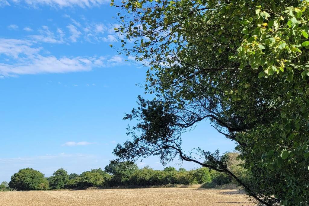 Entire 2 Bed Coach House In Peaceful Norfolk Village Pulham Экстерьер фото